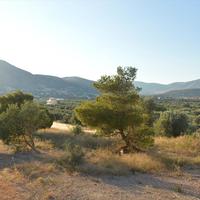 Land plot in Greece
