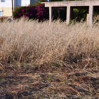 Земельный участок в Греции