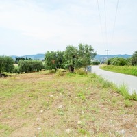 Land plot in Greece