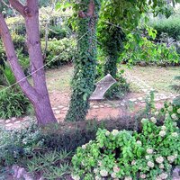 Other in Greece, 150 sq.m.