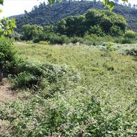 Land plot in Greece