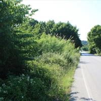 Land plot in Greece