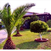 Другое в Греции, 140 кв.м.