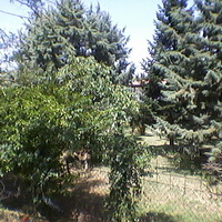 Другое в Греции, 190 кв.м.