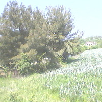 Другое в Греции, 190 кв.м.