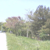 Другое в Греции, 190 кв.м.