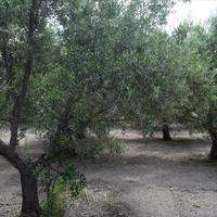 Other in Greece, 80 sq.m.