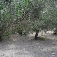 Other in Greece, 80 sq.m.