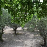 Other in Greece, 80 sq.m.