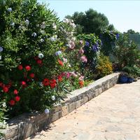 Villa in Greece, 300 sq.m.