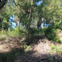 Земельный участок в Греции