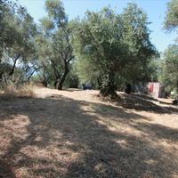 Земельный участок в Греции