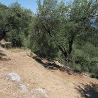 Земельный участок в Греции, 6915 кв.м.