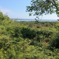 Земельный участок в Греции