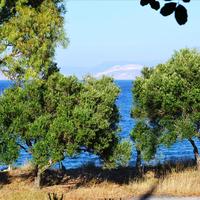 Земельный участок в Греции