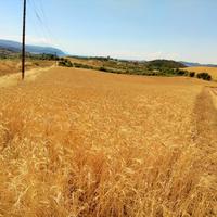 Земельный участок в Греции