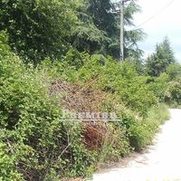 Land plot in Bulgaria, Varna region