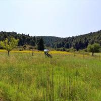 Other in Greece, 100 sq.m.