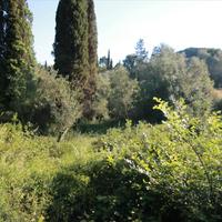 Land plot in Greece