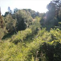 Land plot in Greece