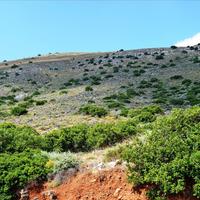 Земельный участок в Греции