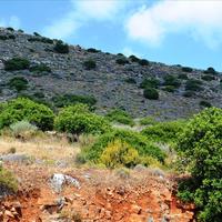 Земельный участок в Греции