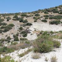 Land plot in Republic of Cyprus