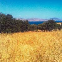 Land plot in Greece