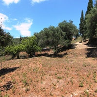 Земельный участок в Греции, 1050 кв.м.