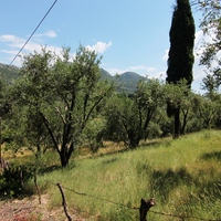 Земельный участок в Греции, 2000 кв.м.