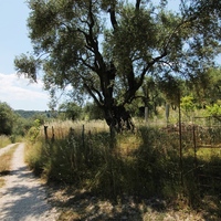 Земельный участок в Греции, 2000 кв.м.