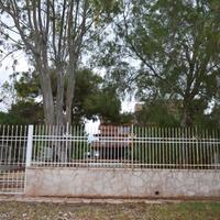 Другое в Греции, 180 кв.м.