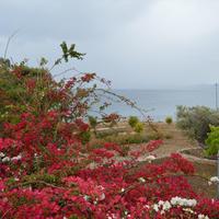 Вилла в Греции, 300 кв.м.