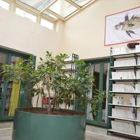 Вилла в Греции, 300 кв.м.