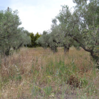 Land plot in Greece
