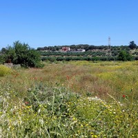 Land plot in Greece