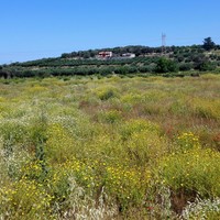 Land plot in Greece