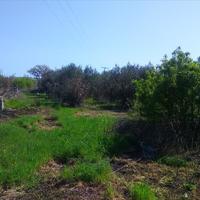Land plot in Greece