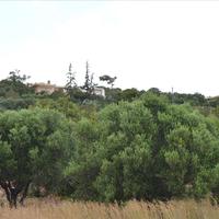 Land plot in Greece