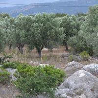 Land plot in Greece