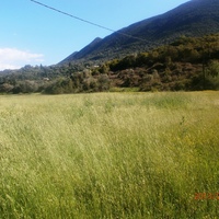 Land plot in Greece, 23000 sq.m.