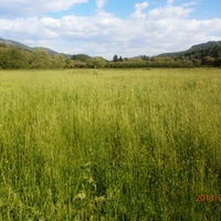 Land plot in Greece, 23000 sq.m.
