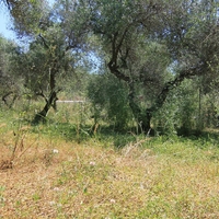 Land plot in Greece