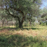 Land plot in Greece