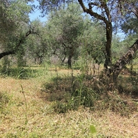 Land plot in Greece
