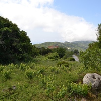 Land plot in Greece, 2752 sq.m.