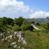 Land plot in Greece, 2752 sq.m.