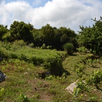Land plot in Greece, 2752 sq.m.