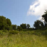 Land plot in Greece, 2752 sq.m.