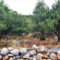 Land plot in Greece